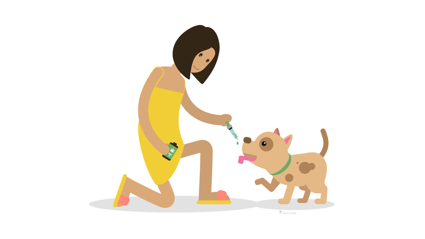 cbd pour les animaux